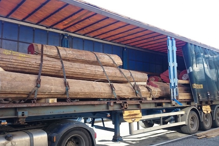Teak logs purchased by Duca Solutions